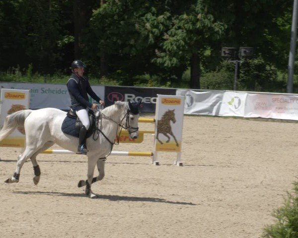 Reitturnier Karlsfeld/Obb. 2024