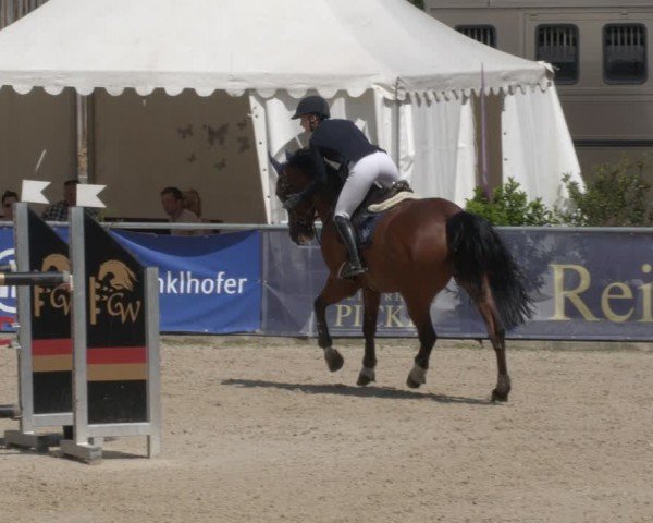 Reitturnier Karlsfeld/Obb. 2024