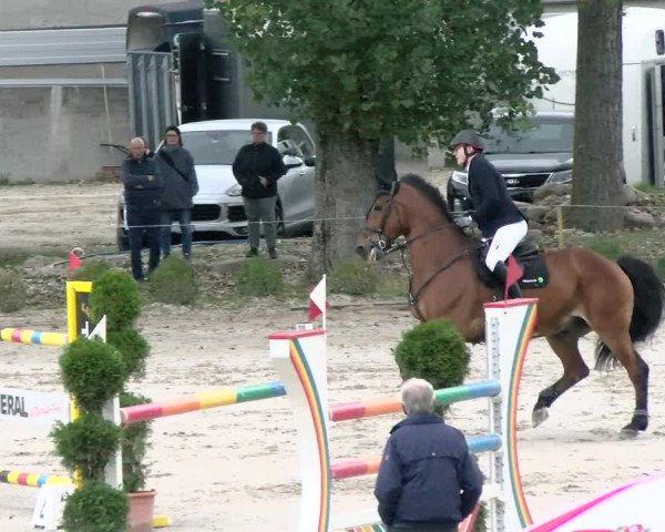 Basler Pferdesporttage Schänzli 2021