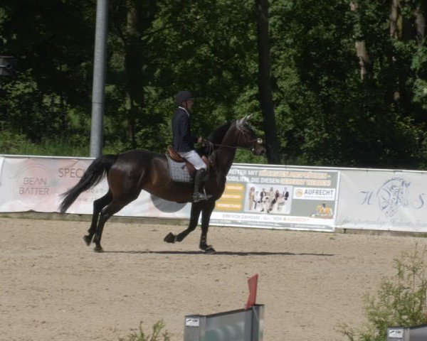 Reitturnier Karlsfeld/Obb. 2024