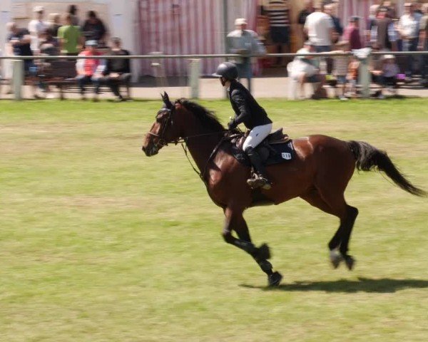 Reitturnier Forst 2024