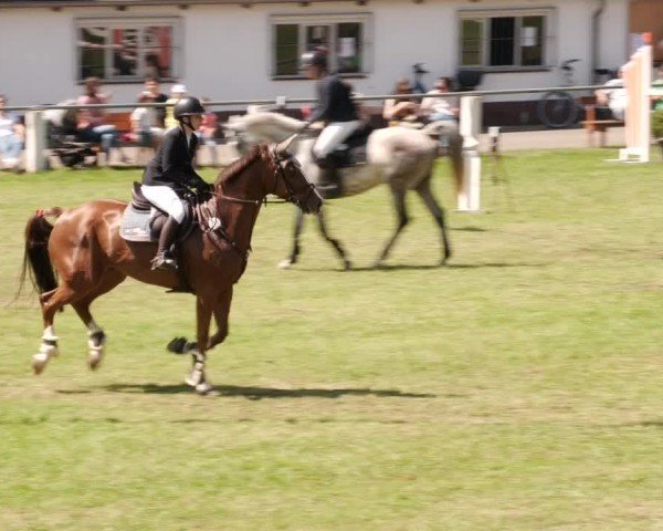 Reitturnier Forst 2024