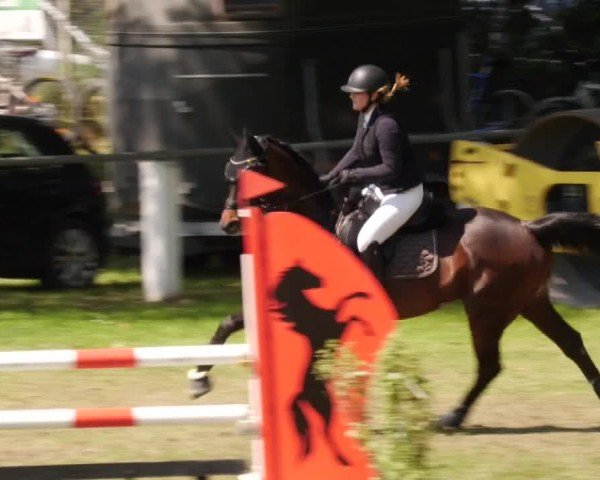 Reitturnier Forst 2024