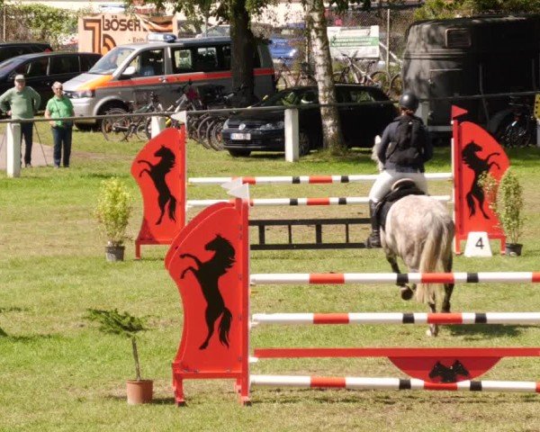 Reitturnier Forst 2024