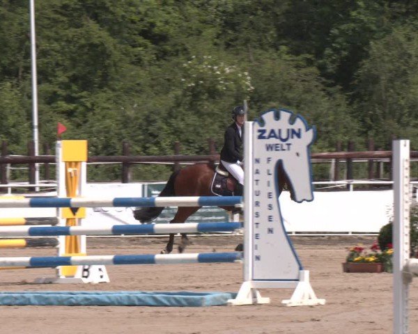 Reitturnier Frechen-Grefrath - Sonnenhof 2024