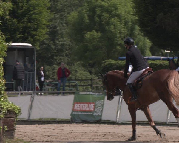 Reitturnier Frechen-Grefrath - Sonnenhof 2024