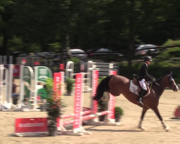 Reitturnier Iserlohn-Kalthof 2024