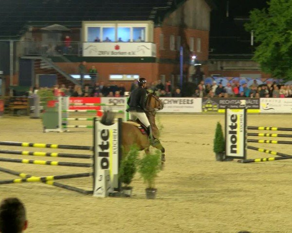 Reitturnier Borken 2024