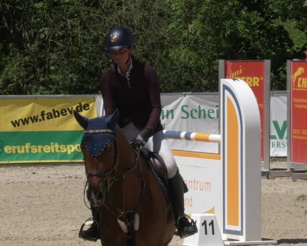 Reitturnier Karlsfeld/Obb. 2024
