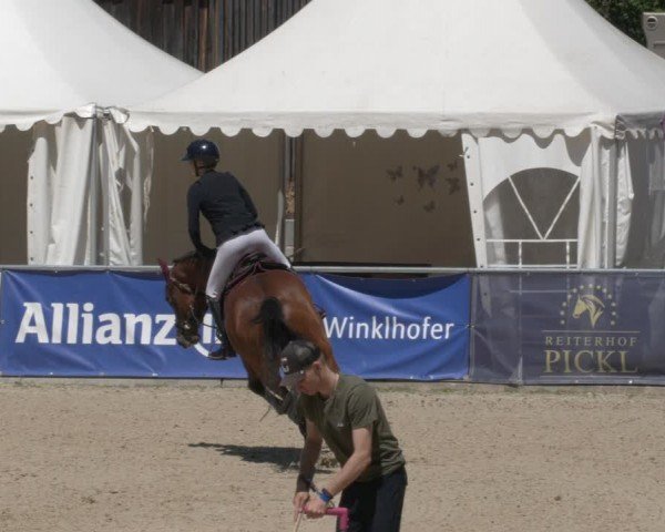 Reitturnier Karlsfeld/Obb. 2024