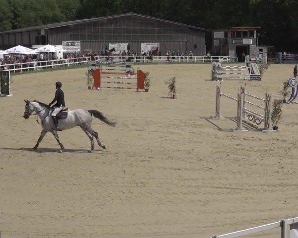 Reitturnier Siegen-Weidenau  2024