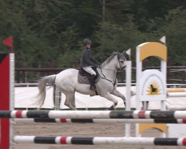 Reitturnier Frechen-Grefrath - Sonnenhof 2024