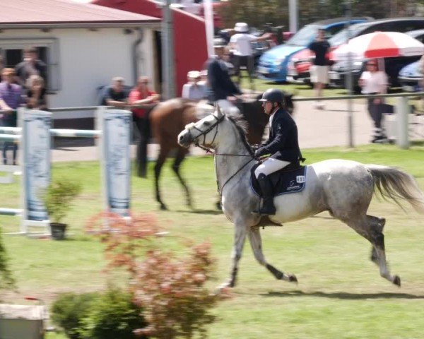 Reitturnier Forst 2024