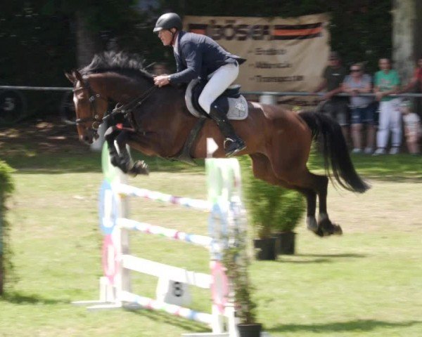 Reitturnier Forst 2024