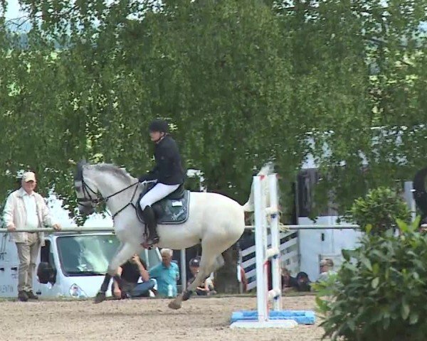 Reitturnier Landenhausen 2024