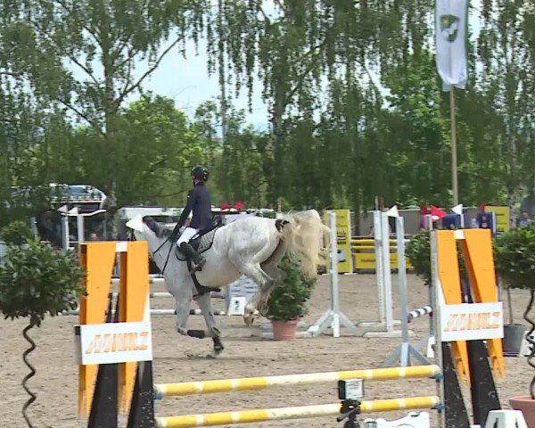 Reitturnier Landenhausen 2024