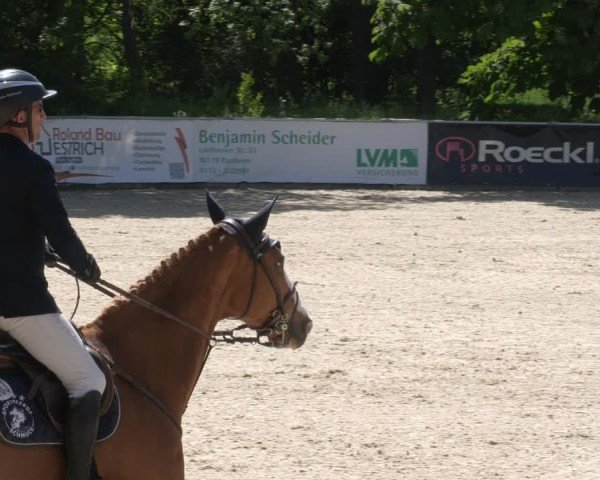 Reitturnier Karlsfeld/Obb. 2024