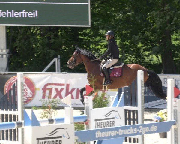 Reitturnier Karlsfeld/Obb. 2024
