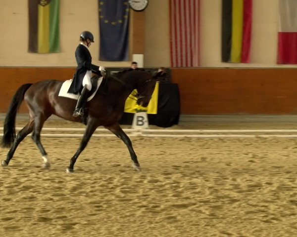 Reitturnier Weikersdorf am Steinfelde 2021