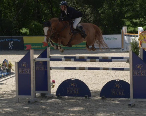 Reitturnier Karlsfeld/Obb. 2024