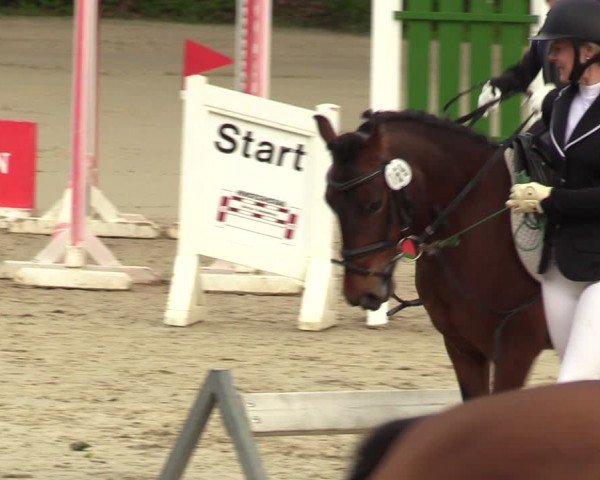 Reitturnier Iserlohn-Kalthof 2024