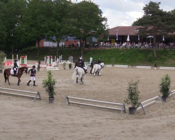 Reitturnier Iserlohn-Kalthof 2024