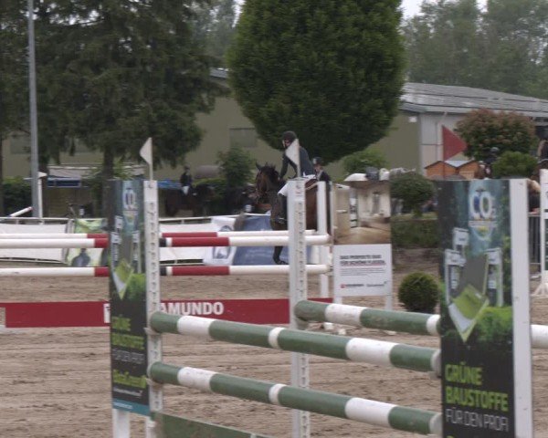 Reitturnier Frechen-Grefrath - Sonnenhof 2024