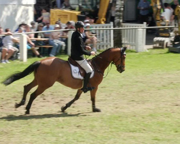 Reitturnier Forst 2024