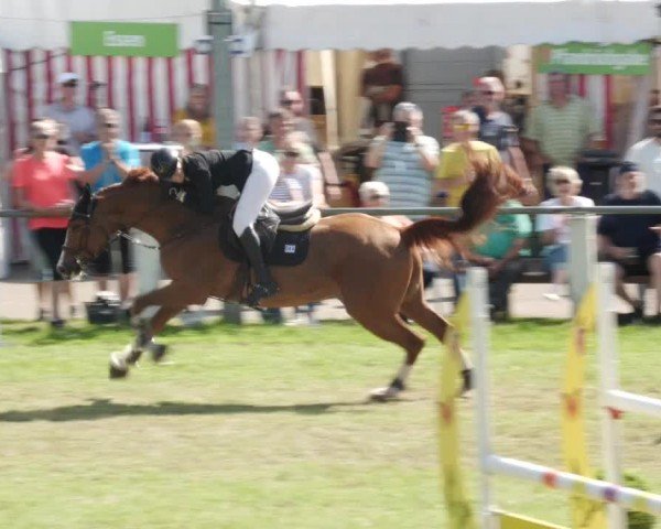 Reitturnier Forst 2024
