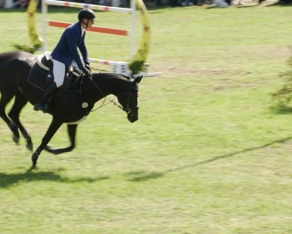 Reitturnier Forst 2024