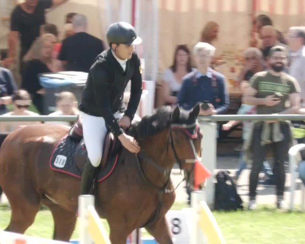 Reitturnier Forst 2024