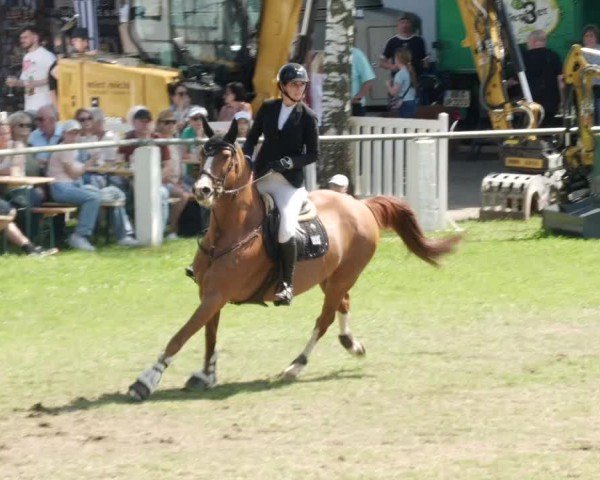 Reitturnier Forst 2024