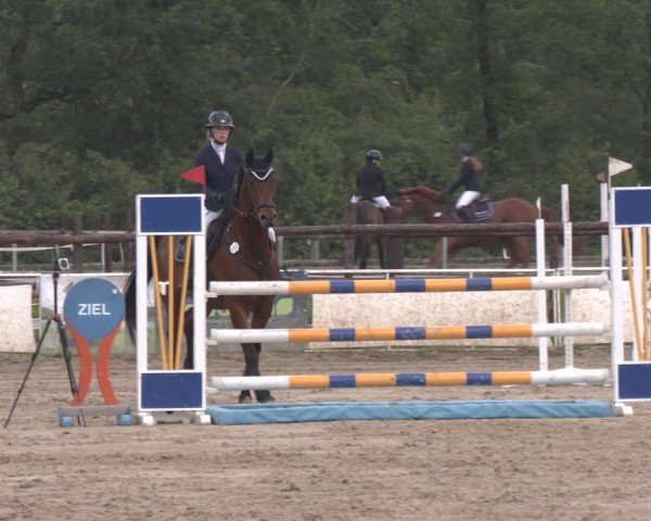 Reitturnier Frechen-Grefrath - Sonnenhof 2024