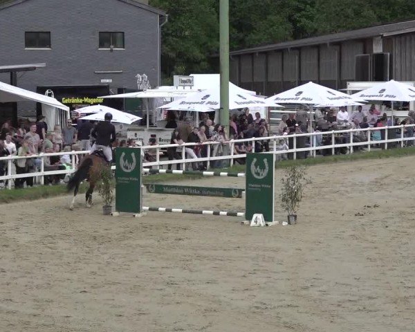 Reitturnier Siegen-Weidenau  2024