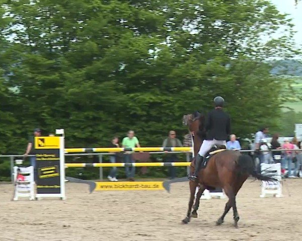 Reitturnier Landenhausen 2024