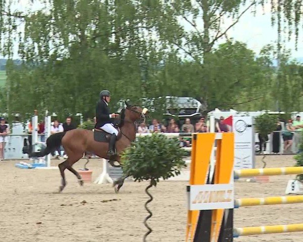 Reitturnier Landenhausen 2024