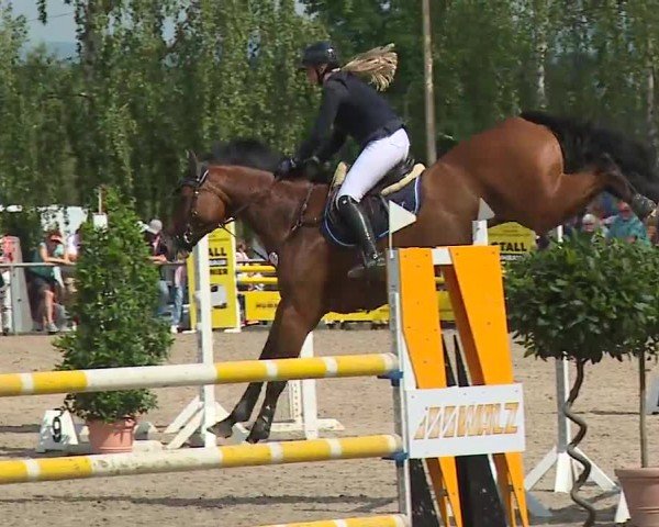 Reitturnier Landenhausen 2024