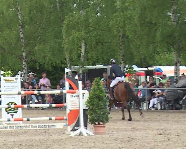 Reitturnier Landenhausen 2024