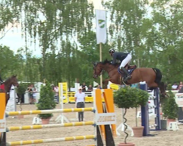 Reitturnier Landenhausen 2024