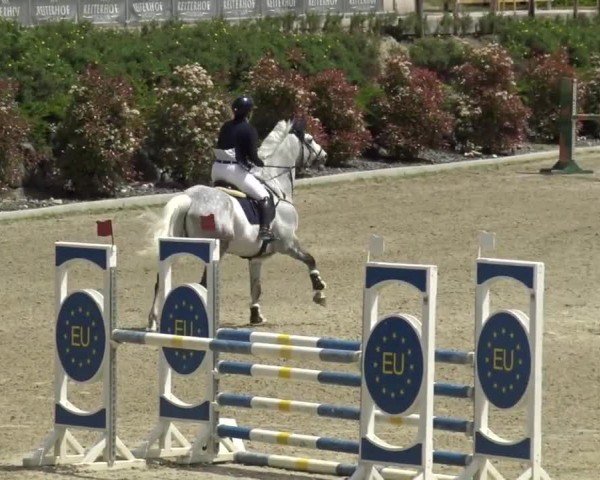Reitturnier St. Margarethen 2024
