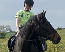 broodmare Daylight (Mecklenburg, 2000, from Decoration AA)