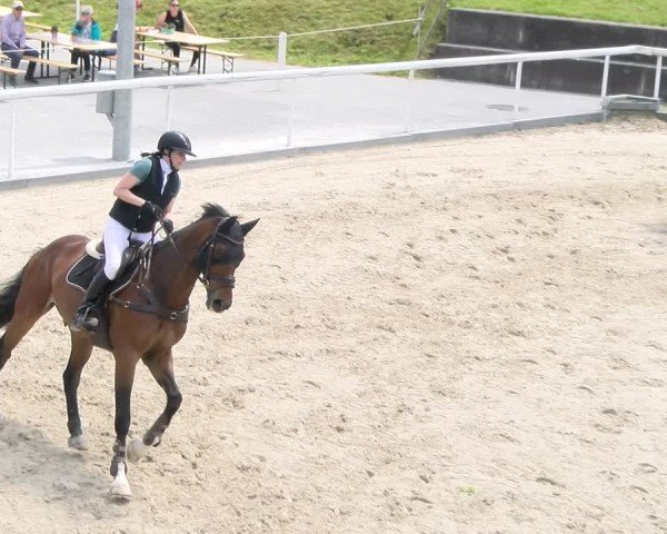 Reitturnier Rüti 2024
