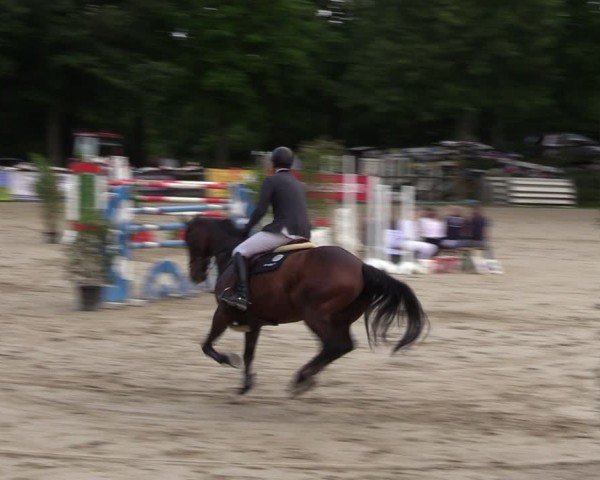 Reitturnier Iserlohn-Kalthof 2024