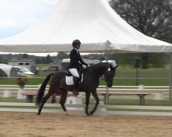 Reitturnier Horka 2024