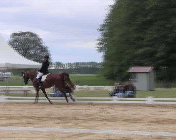 Reitturnier Horka 2024