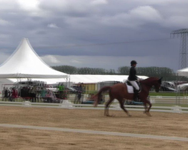 Reitturnier Horka 2024