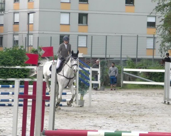 Reitturnier Stadt Bregenz 2024