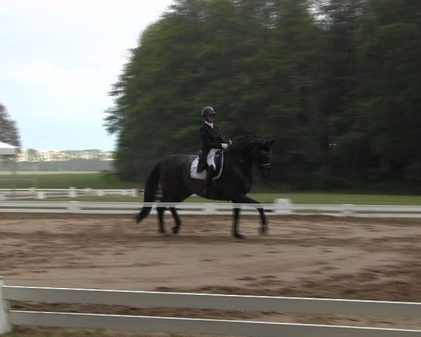 Reitturnier Horka 2024