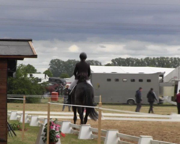 Reitturnier Horka 2024