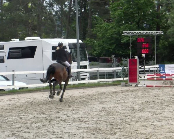 Reitturnier Stadt Bregenz 2024